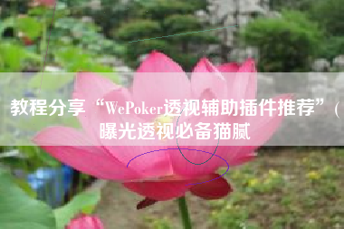 教程分享“WePoker透视辅助插件推荐”(曝光透视必备猫腻