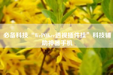 必备科技“WePOKer透视插件挂”科技辅助神器手机