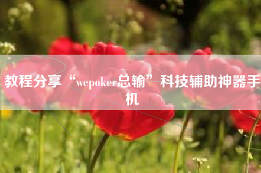 教程分享“wepoker总输	”科技辅助神器手机