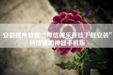 安装程序教程“微信微乐开挂下载安装	”科技辅助神器手机版