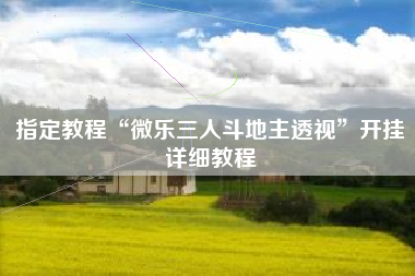 指定教程“微乐三人斗地主透视”开挂详细教程