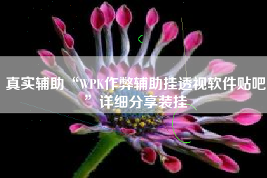 真实辅助“WPK作弊辅助挂透视软件贴吧”详细分享装挂