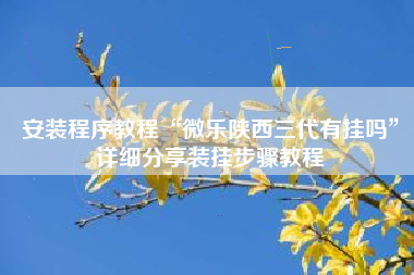 安装程序教程“微乐陕西三代有挂吗”详细分享装挂步骤教程