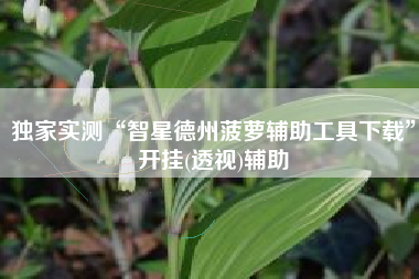 独家实测“智星德州菠萝辅助工具下载”开挂(透视)辅助