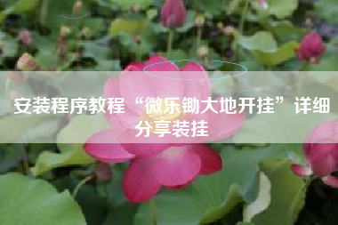安装程序教程“微乐锄大地开挂”详细分享装挂