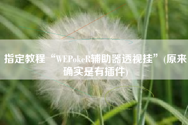 指定教程“WEPokeR辅助器透视挂”(原来确实是有插件)