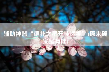辅助神器“德扑之星开挂透视	”(原来确实是有挂)
