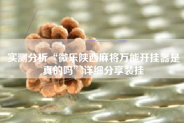 实测分析“微乐陕西麻将万能开挂器是真的吗”详细分享装挂