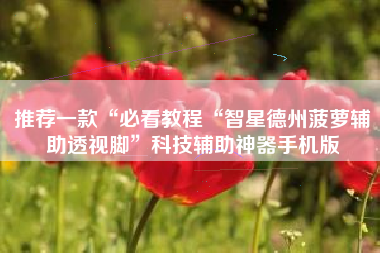 推荐一款“必看教程“智星德州菠萝辅助透视脚	”科技辅助神器手机版