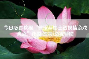 今日必看教程“微乐斗地主透视挂游戏亮点”作弊(透视)透视辅助