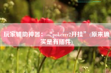 玩家辅助神器：“pokerrr2开挂”(原来确实是有插件)