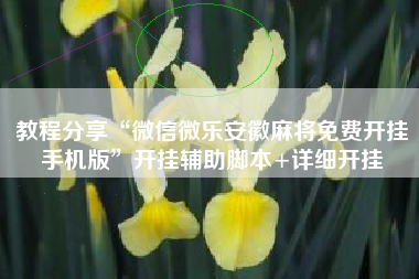 教程分享“微信微乐安徽麻将免费开挂手机版	”开挂辅助脚本+详细开挂