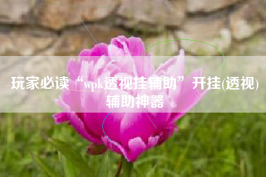 玩家必读“wpk透视挂辅助	”开挂(透视)辅助神器