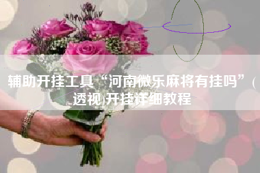 辅助开挂工具“河南微乐麻将有挂吗”(透视)开挂详细教程