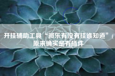 开挂辅助工具“微乐有没有挂谁知道	”(原来确实是有插件