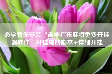 必学教你安装“雀神广东麻将免费开挂器软件”开挂辅助脚本+详细开挂