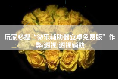 玩家必搜“微乐辅助器安卓免费版”作弊(透视)透视辅助