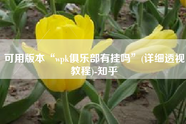 可用版本“wpk俱乐部有挂吗”(详细透视教程)-知乎