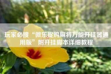 玩家必搜“微乐捉鸡麻将万能开挂器通用版	”附开挂脚本详细教程