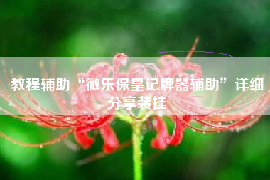 教程辅助“微乐保皇记牌器辅助”详细分享装挂