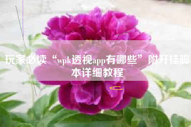 玩家必读“wpk透视app有哪些	”附开挂脚本详细教程
