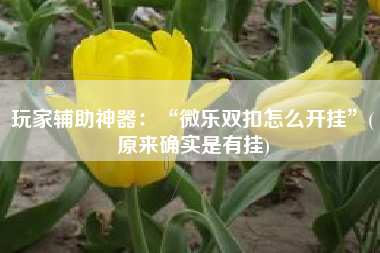 玩家辅助神器：“微乐双扣怎么开挂”(原来确实是有挂)