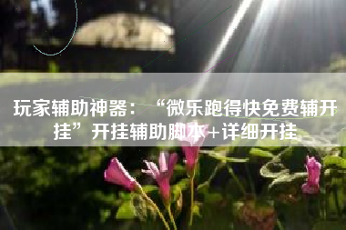 玩家辅助神器：“微乐跑得快免费辅开挂”开挂辅助脚本+详细开挂