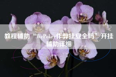 教程辅助“WePoker作弊挂安全吗	”开挂辅助详细
