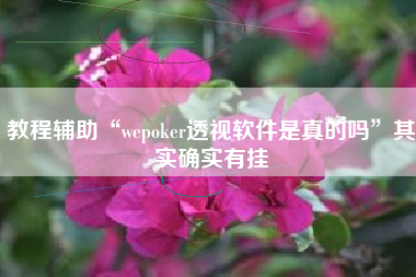 教程辅助“wepoker透视软件是真的吗	”其实确实有挂