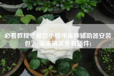 必看教程“微信小程序雀神辅助器安装包	”(原来确实是有插件)