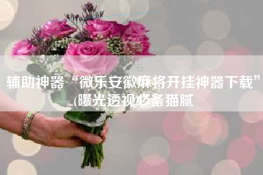 辅助神器“微乐安徽麻将开挂神器下载	”(曝光透视必备猫腻