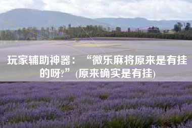 玩家辅助神器：“微乐麻将原来是有挂的呀?”(原来确实是有挂)