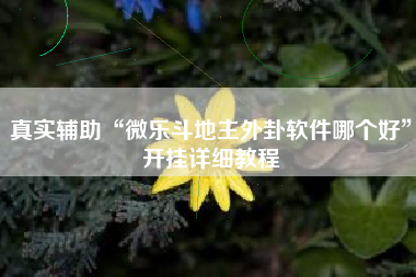 真实辅助“微乐斗地主外卦软件哪个好	”开挂详细教程