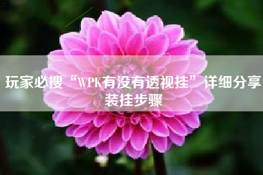玩家必搜“WPK有没有透视挂”详细分享装挂步骤