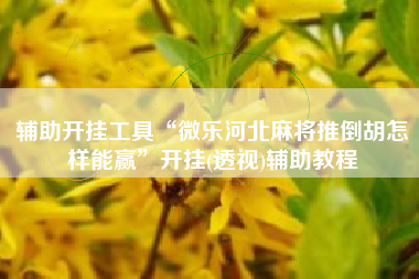 辅助开挂工具“微乐河北麻将推倒胡怎样能赢	”开挂(透视)辅助教程