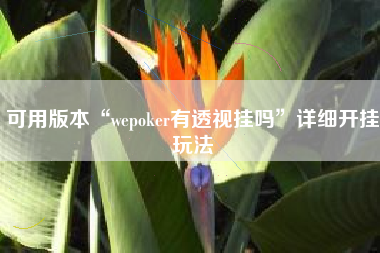 可用版本“wepoker有透视挂吗”详细开挂玩法