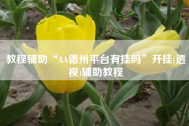 教程辅助“AA德州平台有挂吗	”开挂(透视)辅助教程