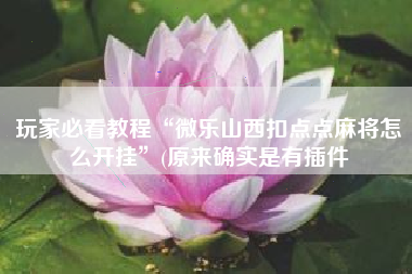 玩家必看教程“微乐山西扣点点麻将怎么开挂	”(原来确实是有插件