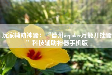 玩家辅助神器：“德州wepoker万能开挂器	”科技辅助神器手机版