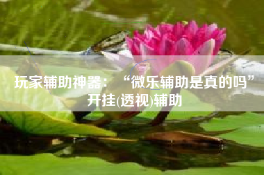 玩家辅助神器：“微乐辅助是真的吗	”开挂(透视)辅助