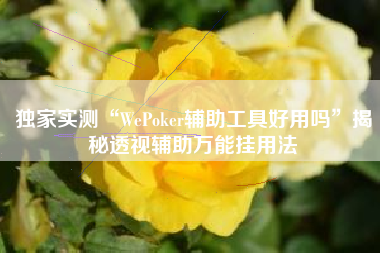 独家实测“WePoker辅助工具好用吗	”揭秘透视辅助万能挂用法