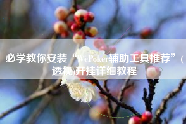 必学教你安装“WePoker辅助工具推荐”(透视)开挂详细教程