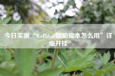 今日实测“WePoker辅助脚本怎么用”详细开挂
