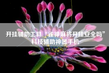 开挂辅助工具“雀神麻将开挂安全吗”科技辅助神器手机