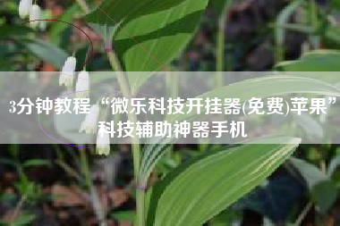 3分钟教程“微乐科技开挂器(免费)苹果”科技辅助神器手机