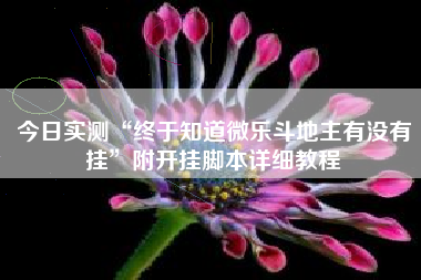 今日实测“终于知道微乐斗地主有没有挂”附开挂脚本详细教程