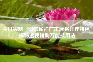 今日实测“微信雀神广东麻将开挂特色”揭秘透视辅助万能挂用法