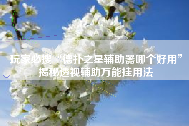 玩家必搜“德扑之星辅助器哪个好用”揭秘透视辅助万能挂用法