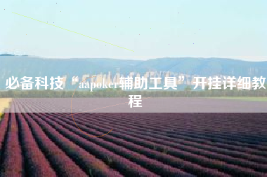 必备科技“aapoker辅助工具”开挂详细教程