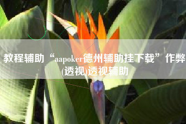教程辅助“aapoker德州辅助挂下载”作弊(透视)透视辅助
